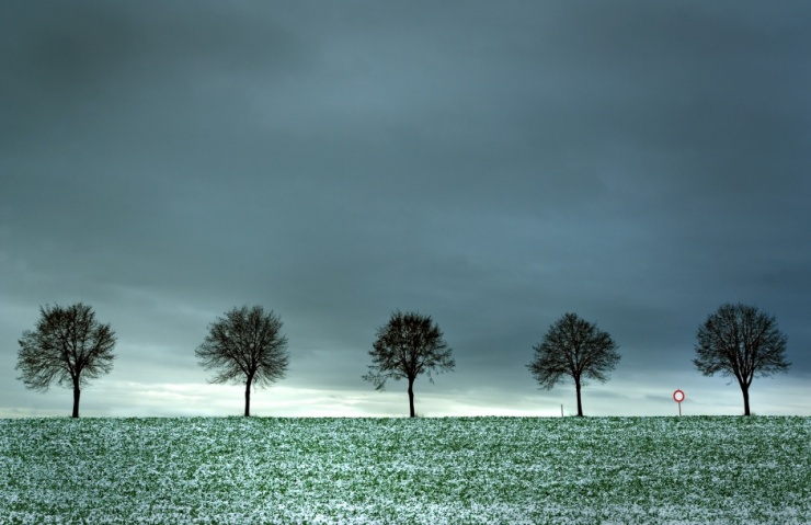 Martin Baitinger